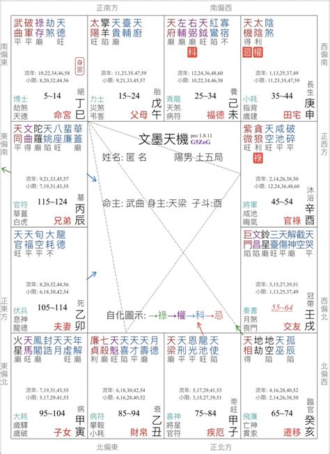 武曲破軍|紫微命盤解析——武曲、破軍在巳、亥宮